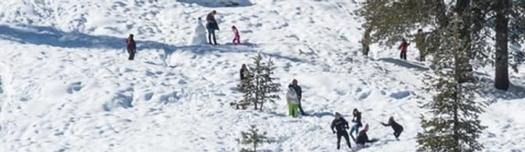 Wolverton Snowplay Area, Sequoia National Park
