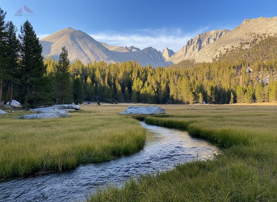 Crabtree Meadow, Sequoia National Park