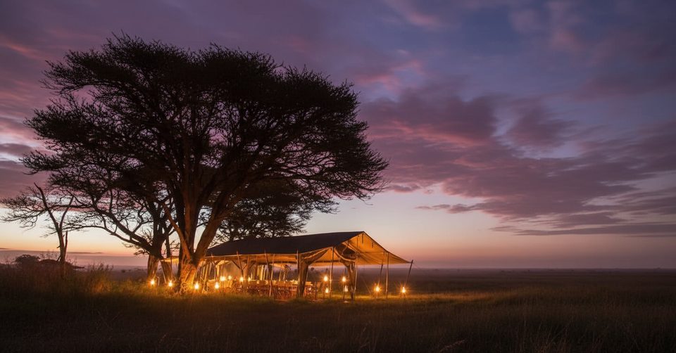 Nomad Serengeti Safari Camp, Serengeti National Park