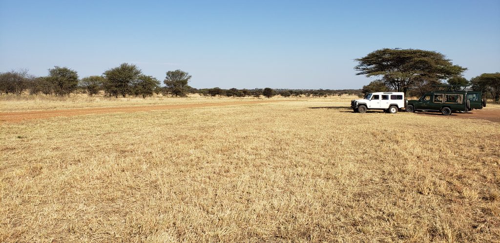 Lobo Airstrip, Serengeti National Park