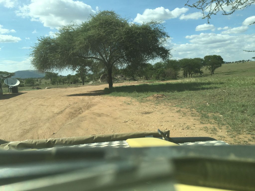 Pimbi Public Campsite, Serengeti National Park