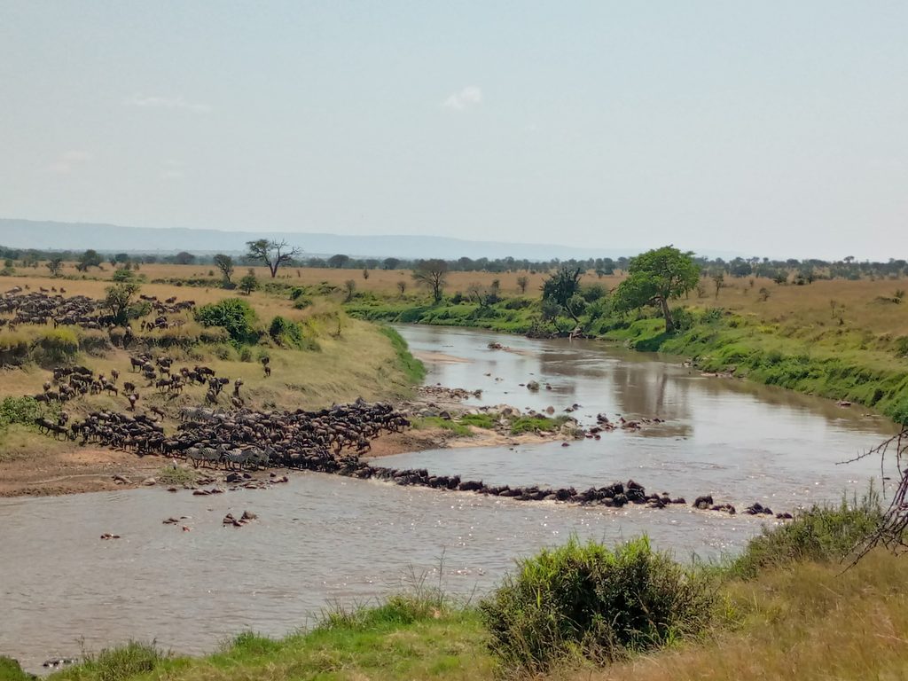 Kogatende Mara River Banks, Serengeti National Park