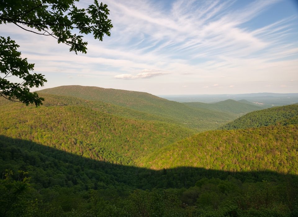 Pinefield Gap Overlook, Shenandoah National Park