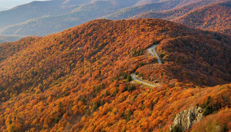 Mountain Taproom, Shenandoah National Park