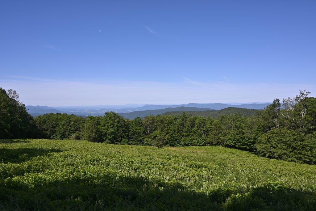 Naked Creek Overlook, Shenandoah National Park