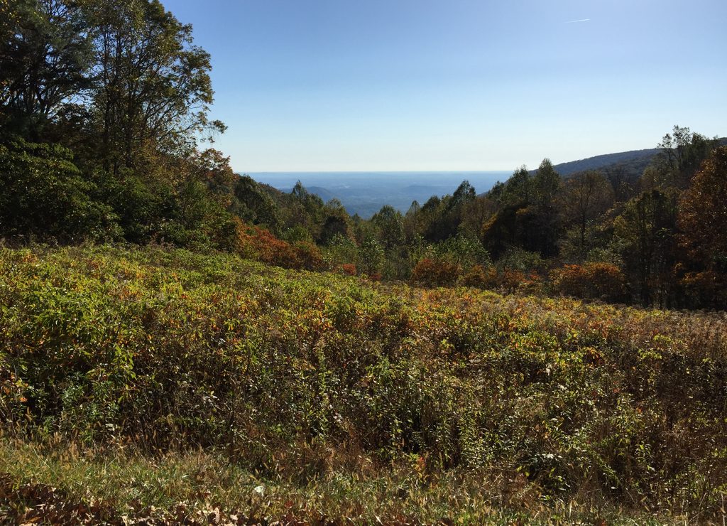South River Overlook, Shenandoah National Park