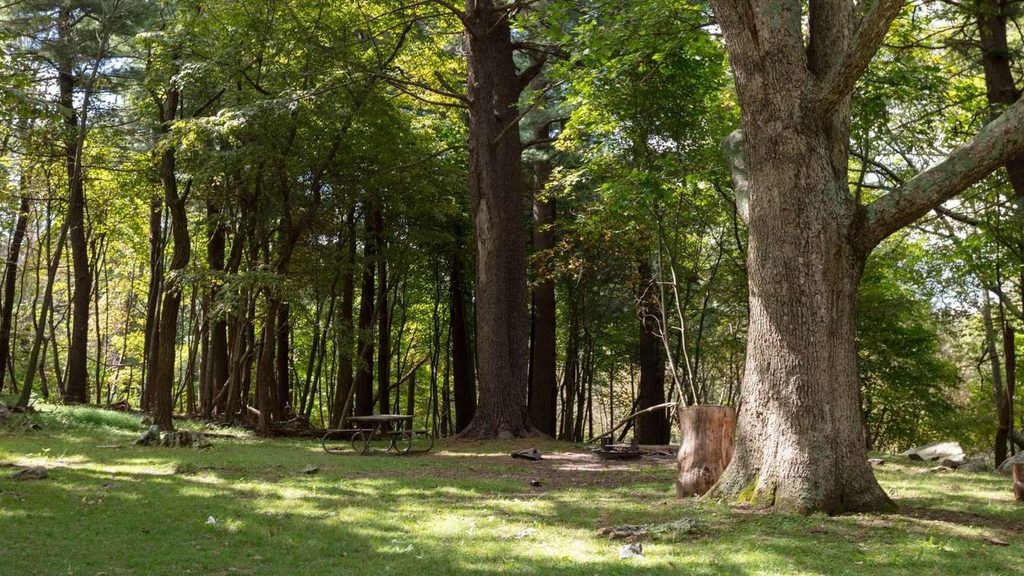 Elkwallow Picnic Area, Shenandoah National Park