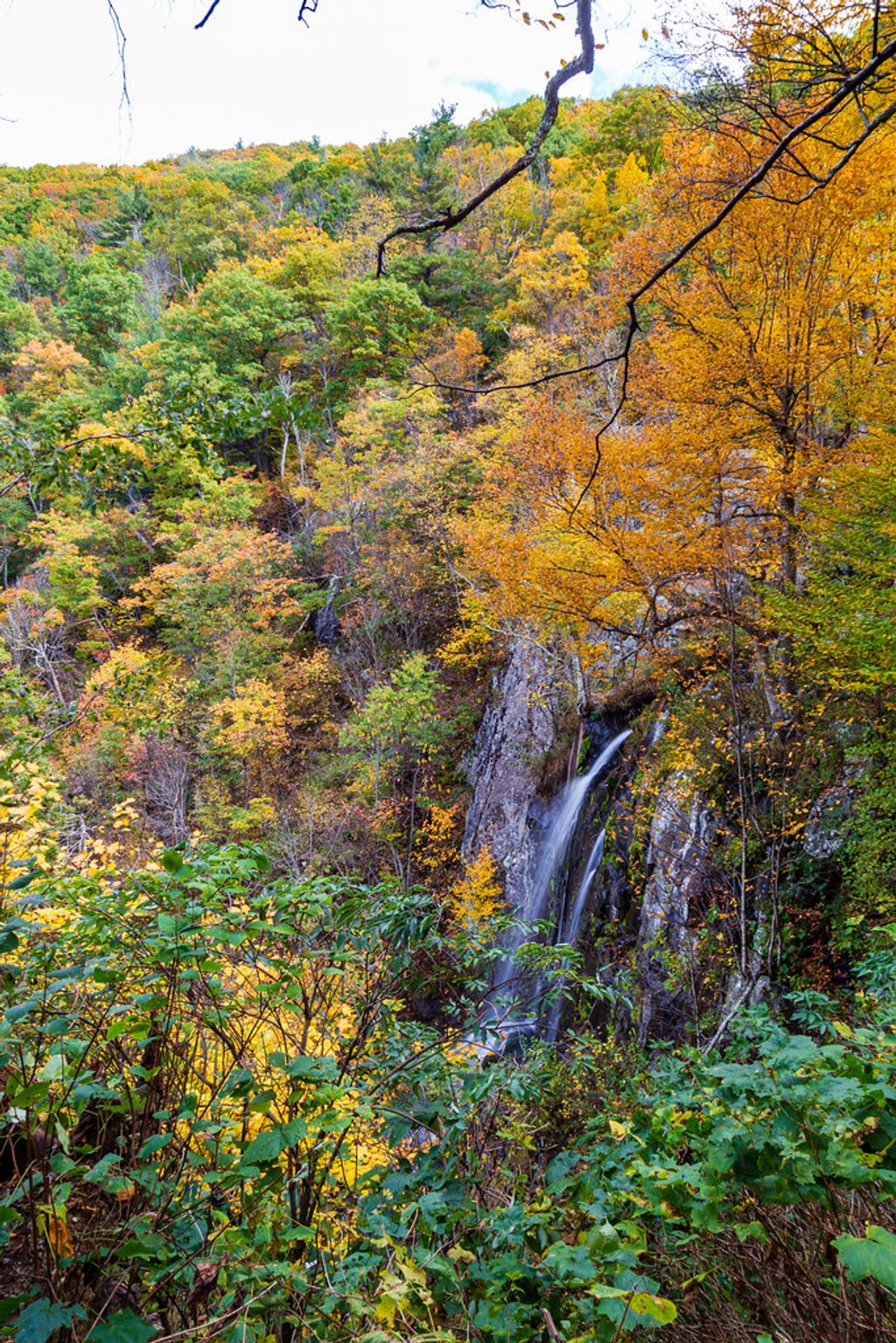 Lewis Falls, Shenandoah National Park