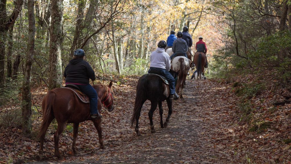 Skyland Stables, Shenandoah National Park