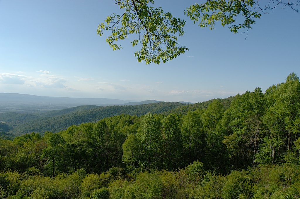 Hensley Hollow Overlook, Shenandoah National Park