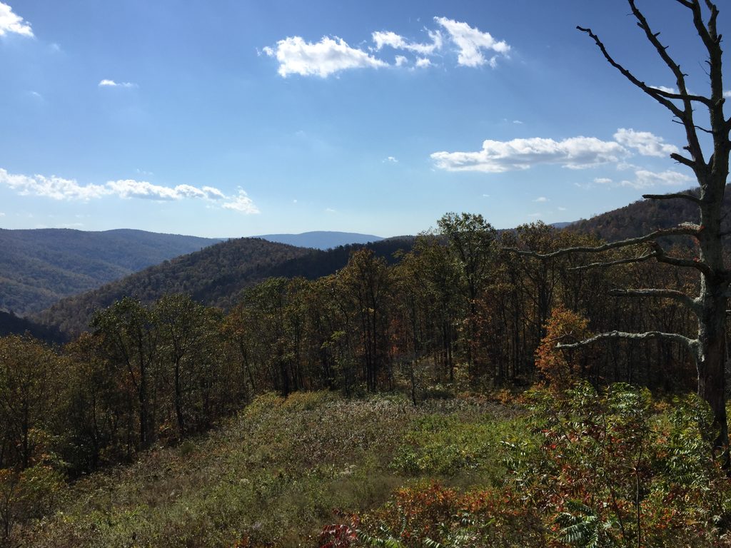 Trayfoot Mountain Overlook, Shenandoah National Park