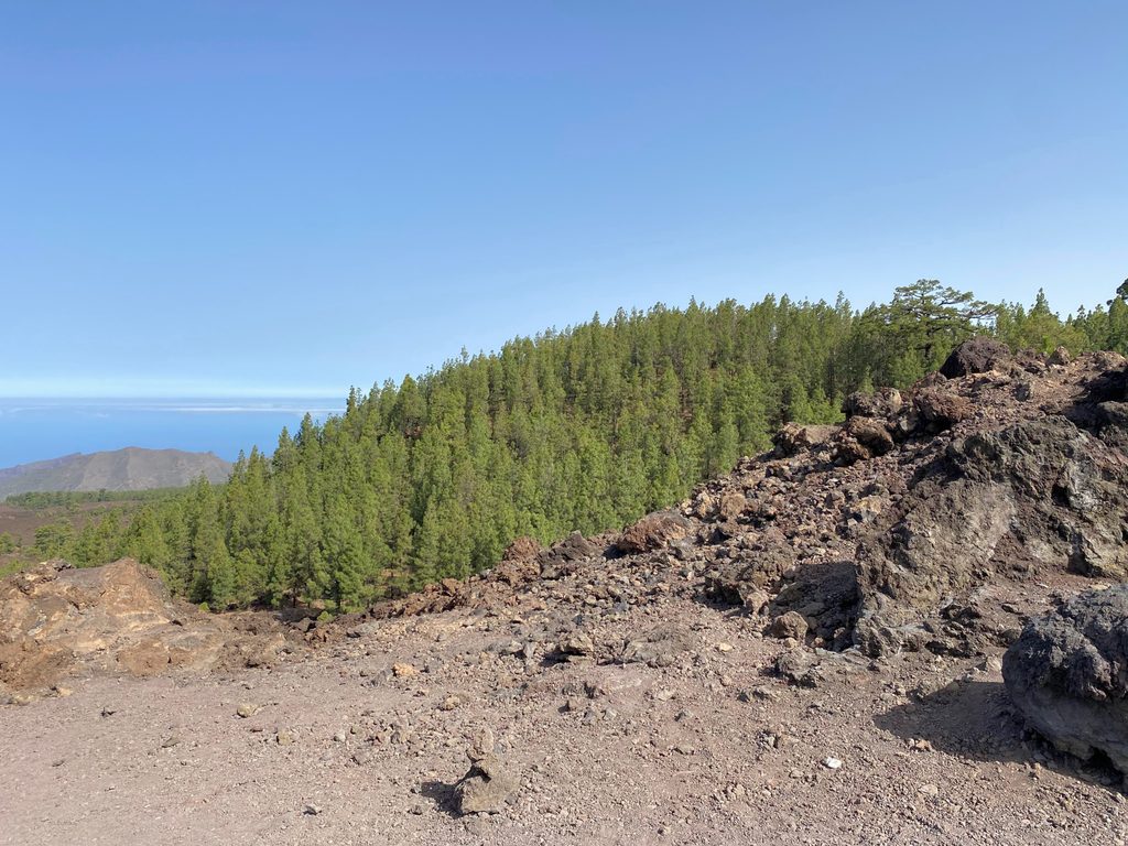 Mirador de Los Poleos, Teide National Park