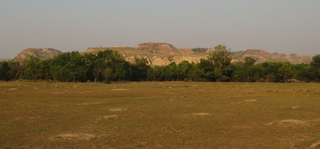 Prairie Dog Town, Theodore Roosevelt National Park