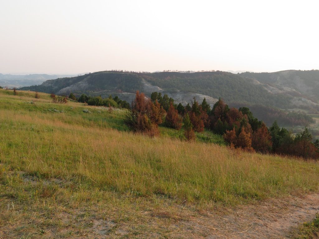 Boicourt Overlook, Theodore Roosevelt National Park