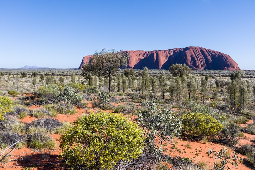 Talinguru Nyakunytjaku, Uluru-Kata Tjuta National Park