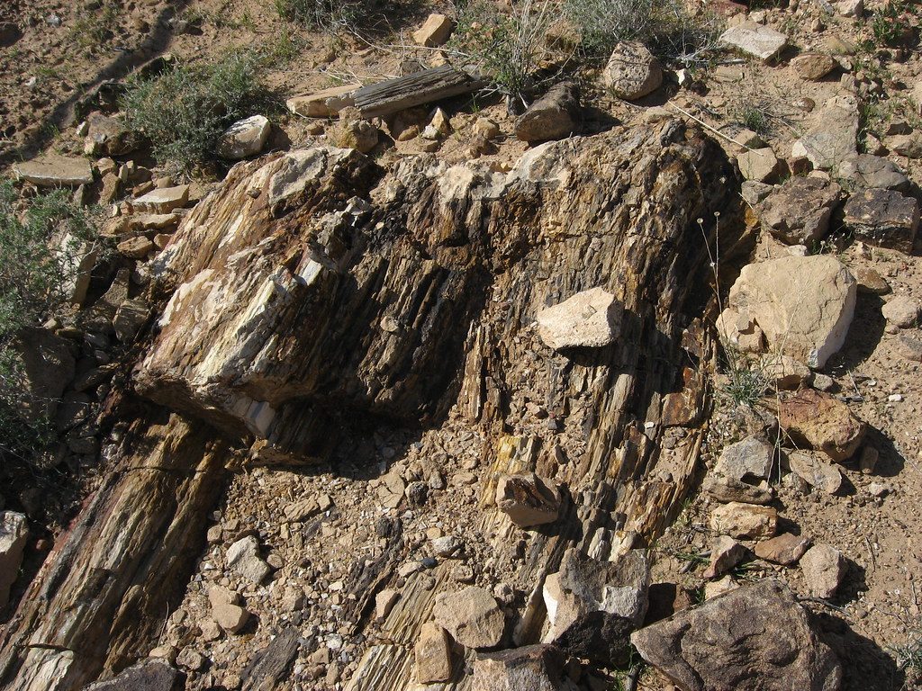 Petrified Logs, Valley of Fire State Park