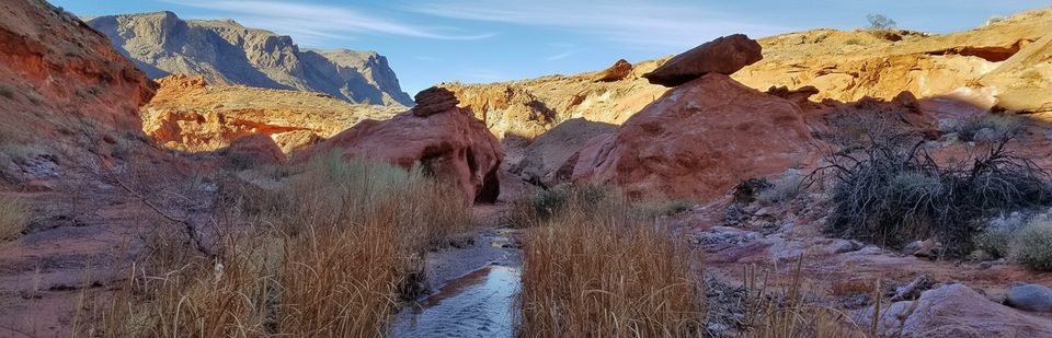 Charlie's Spring, Valley of Fire State Park