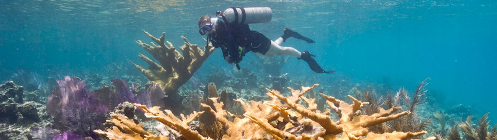 National Park Underwater Trail, Virgin Islands National Park