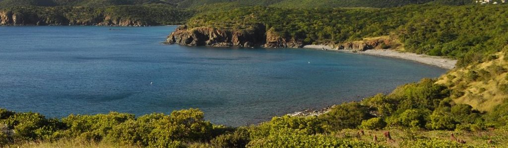 Salt Pond Bay, Virgin Islands National Park