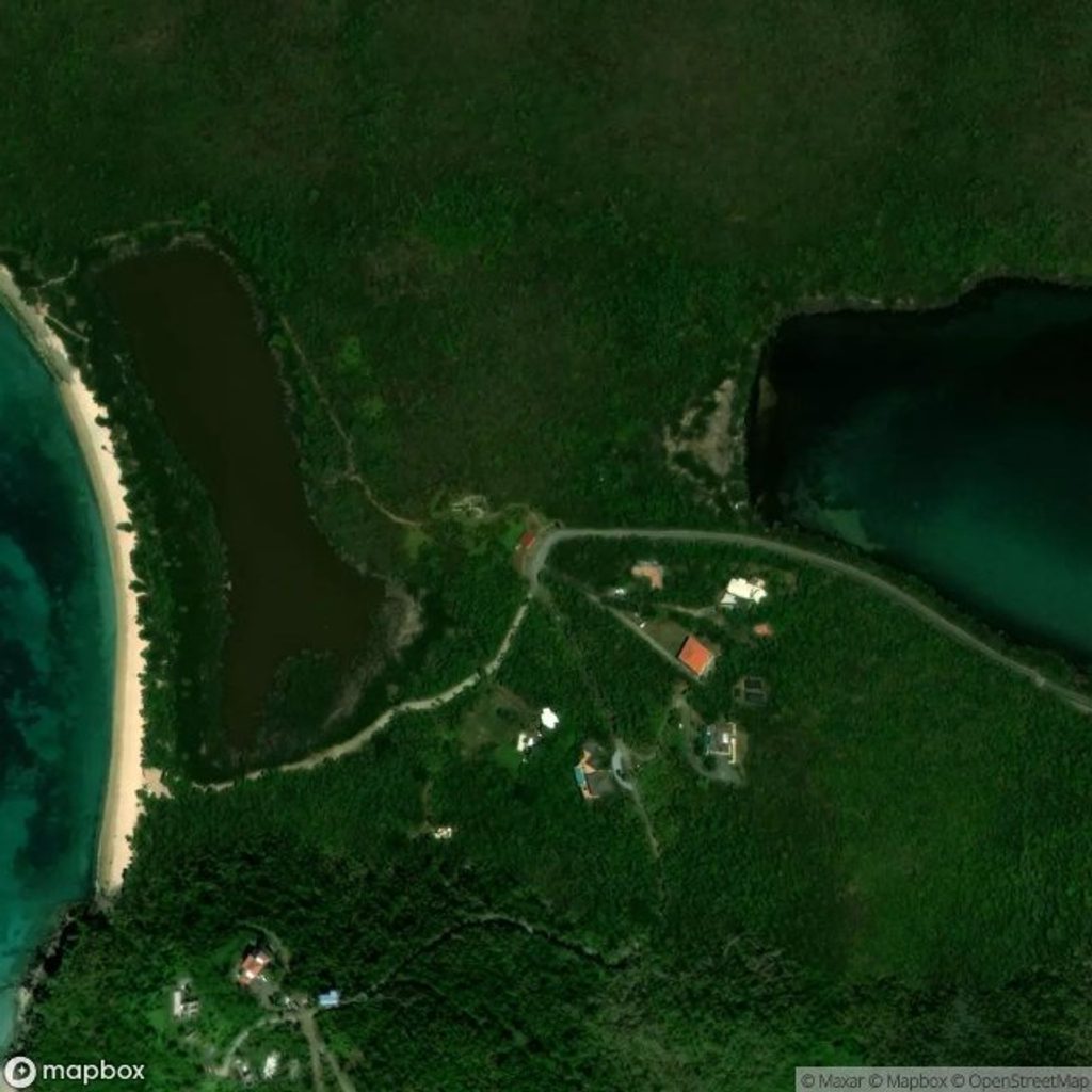 Mangroves at Francis Bay, Virgin Islands National Park