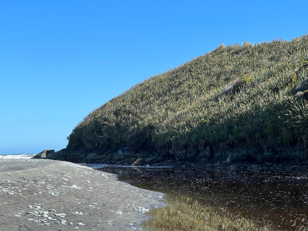 Gillespies Beach, Westland Tai Poutini National Park