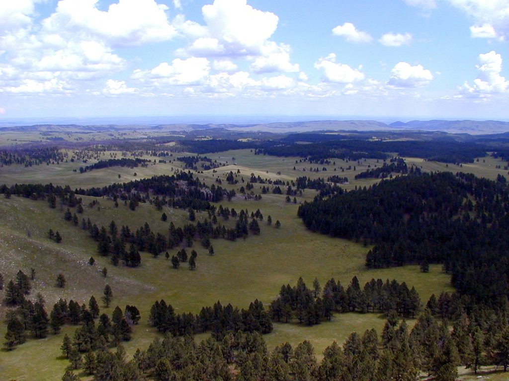 Rankin Ridge, Wind Cave National Park
