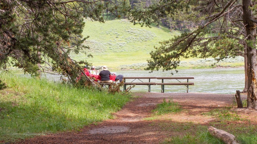 Nez Perce Ford Picnic Area, Yellowstone National Park