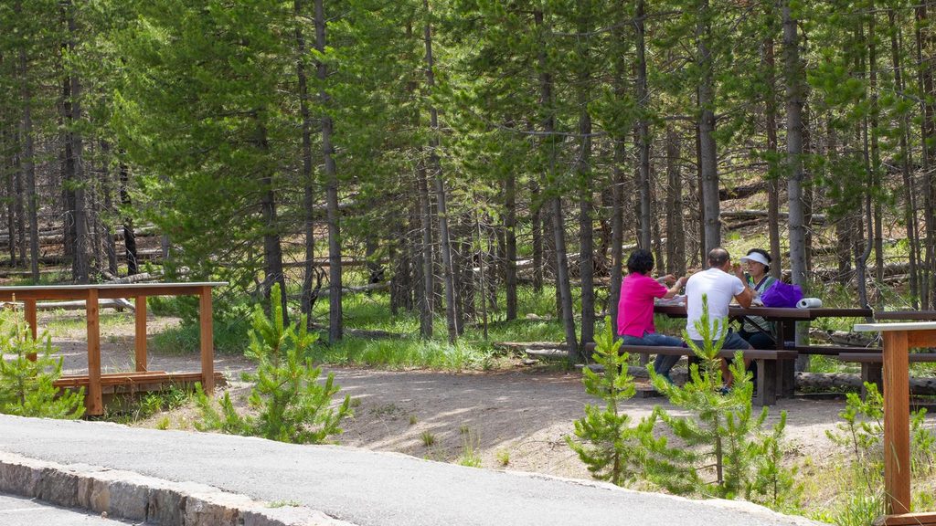Caldera Rim Picnic Area, Yellowstone National Park
