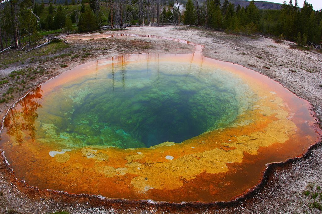 Upper Geyser Basin, Yellowstone National Park