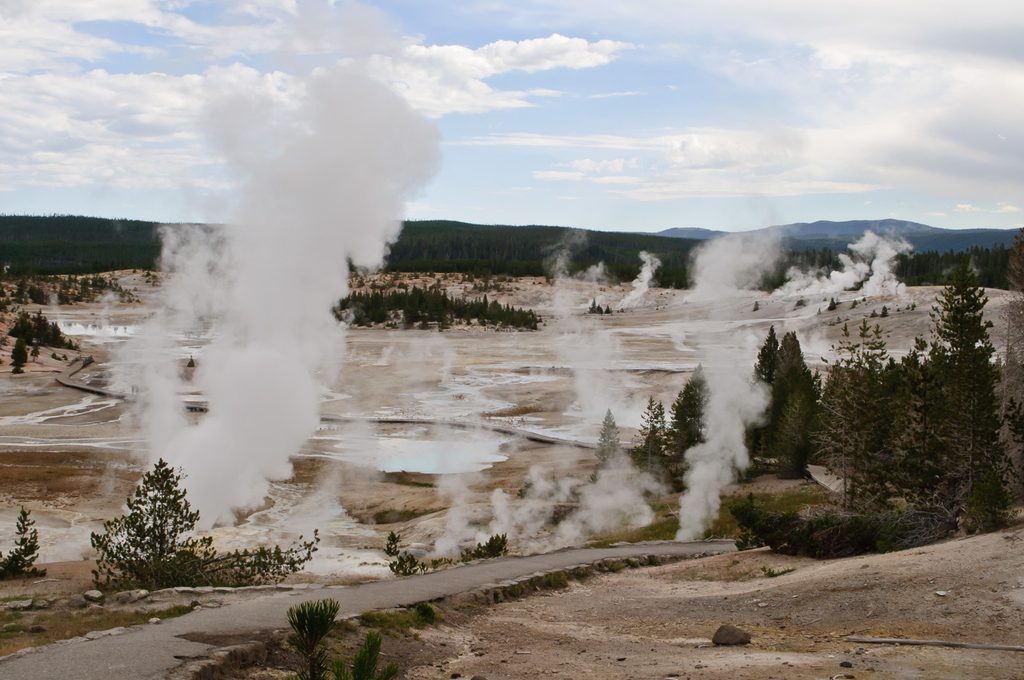 Norris Geyser Basin, Yellowstone National Park
