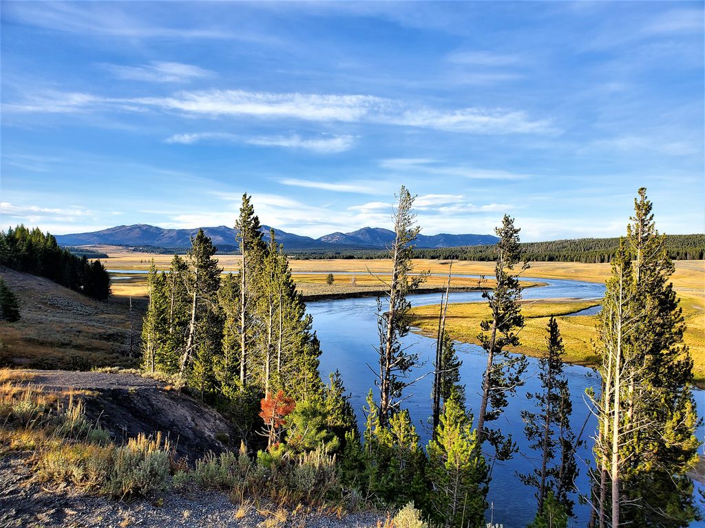 Hayden Valley, Yellowstone National Park
