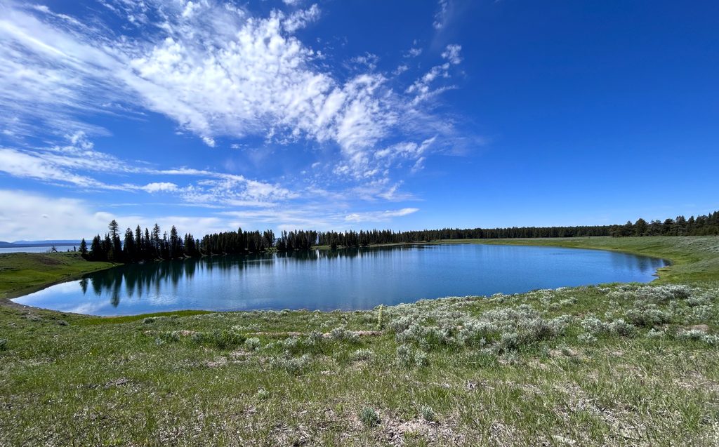 Indian Pond, Yellowstone National Park
