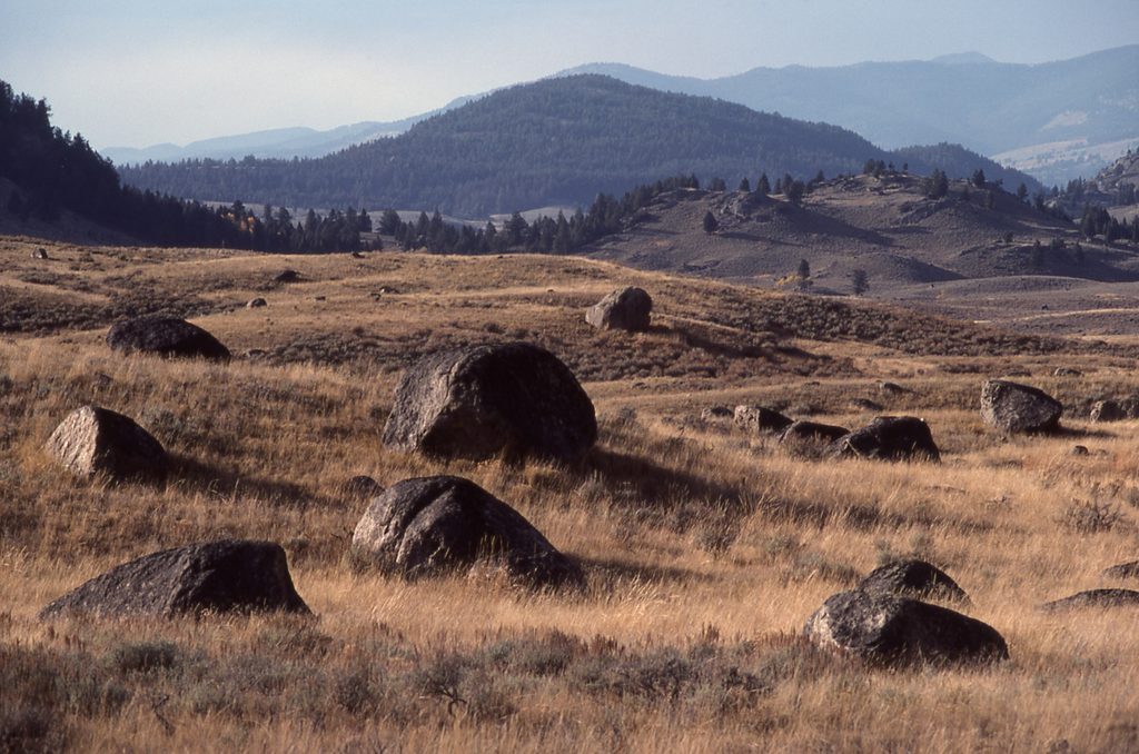 Glacier Boulder, Yellowstone National Park