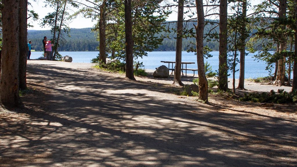 Gull Point Picnic Area, Yellowstone National Park