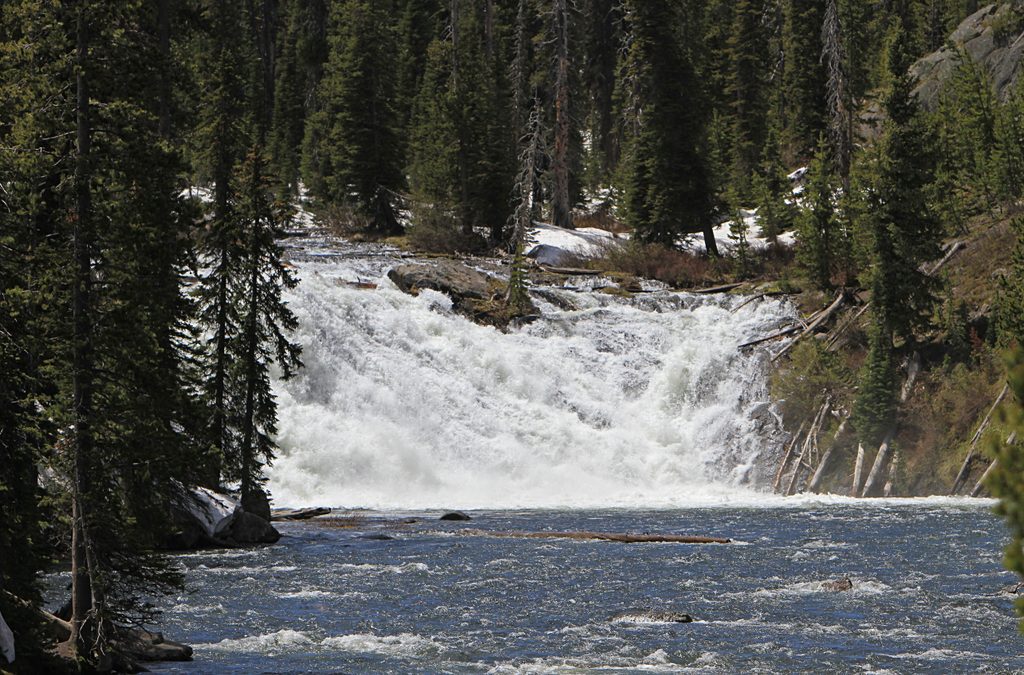 Lewis Falls, Yellowstone National Park