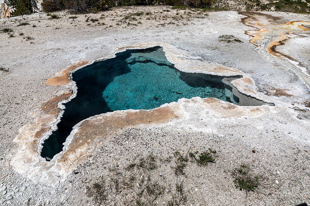 Blue Star Spring, Yellowstone National Park