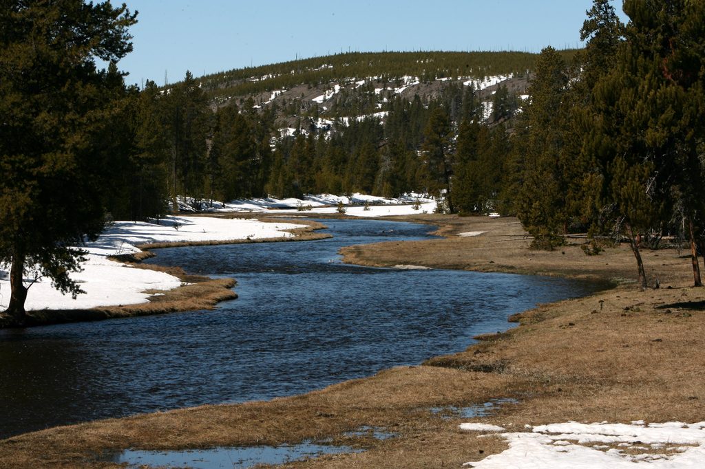 Nez Perce, Yellowstone National Park