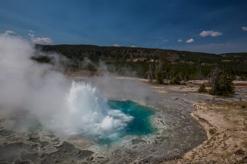 Artemisia Geyser, Yellowstone National Park
