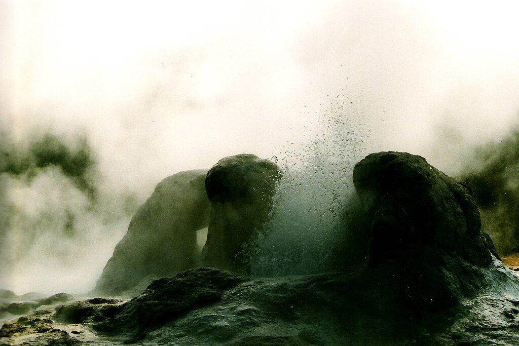 Grotto Geyser, Yellowstone National Park