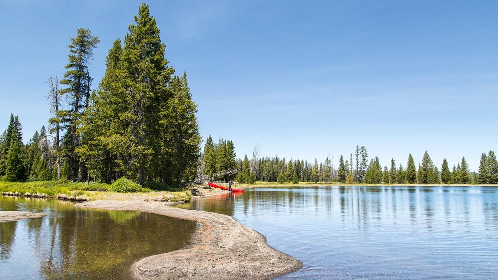 Lewis Lake Campground, Yellowstone National Park