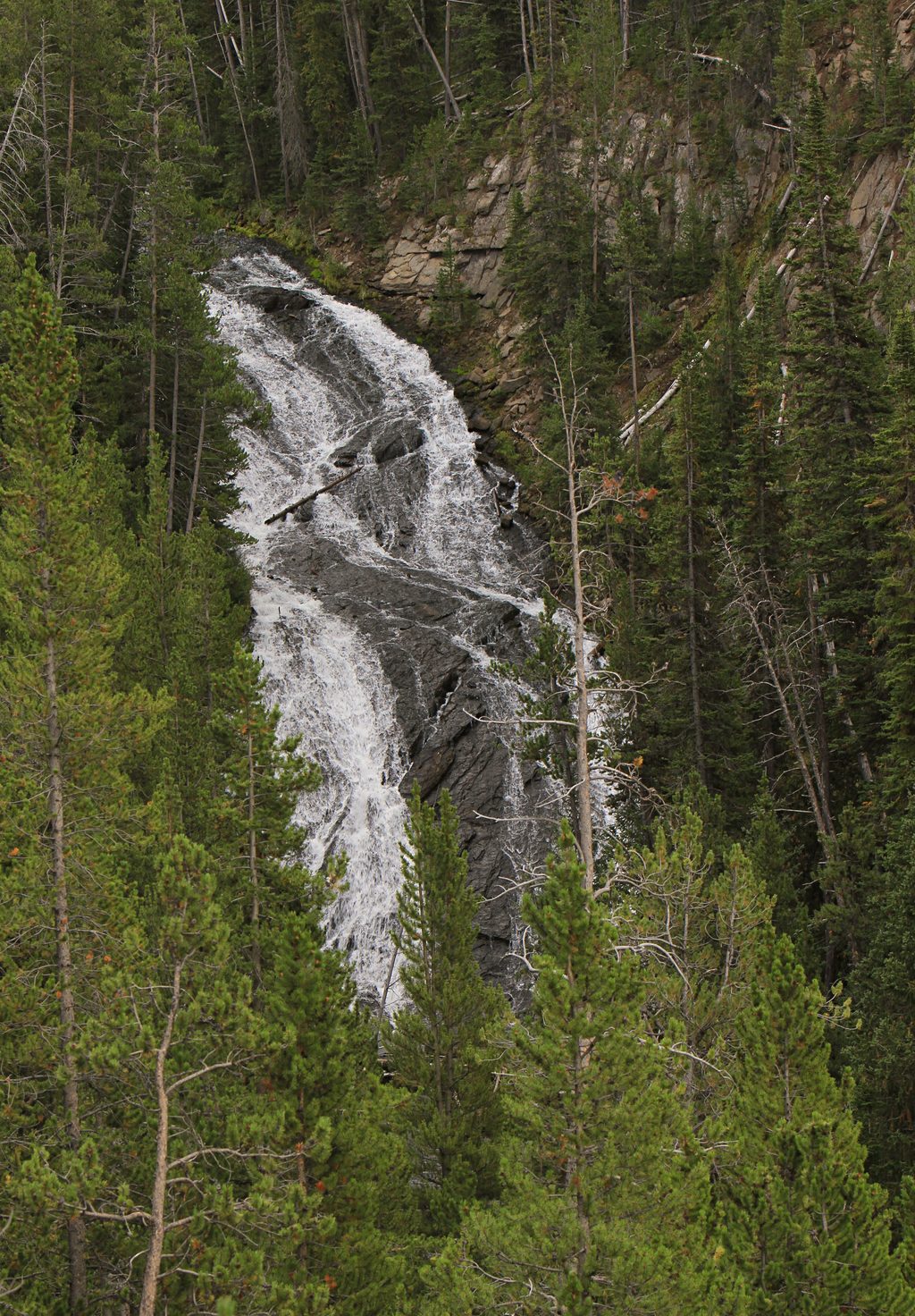 Virginia Cascades, Yellowstone National Park