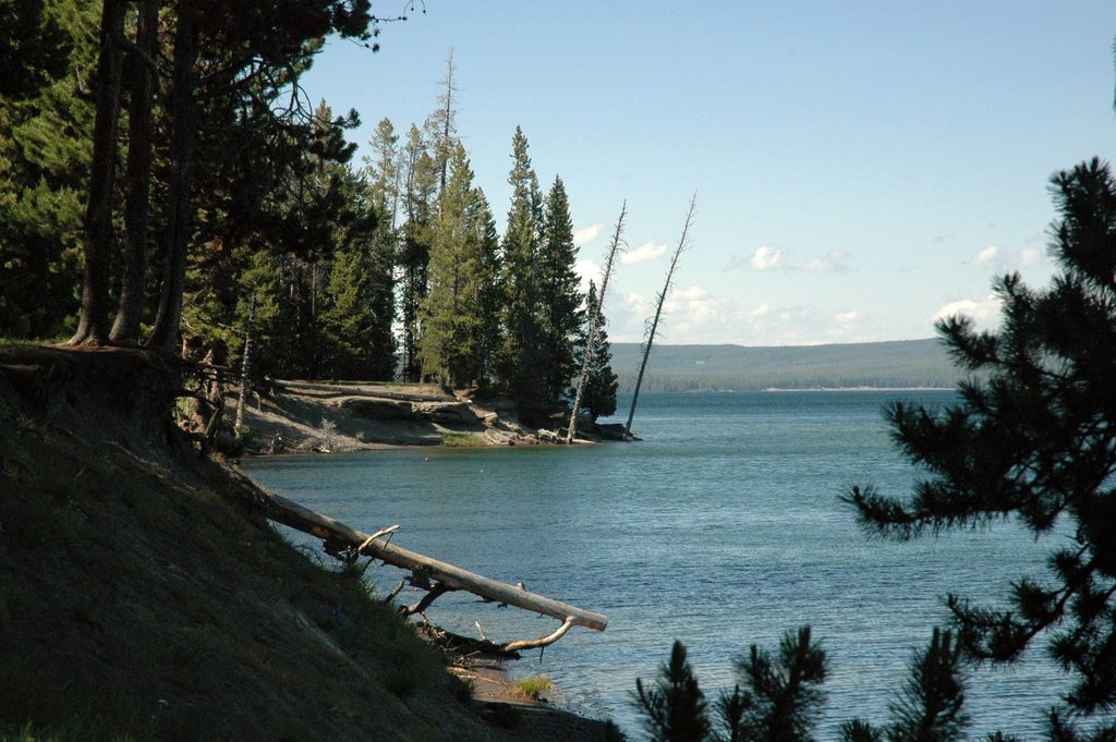 Grant Village Campground, Yellowstone National Park