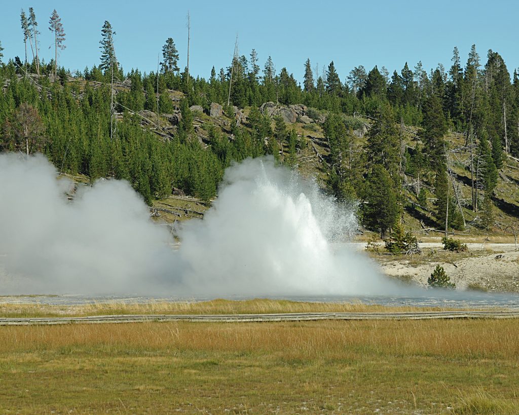Oblong Geyser, Yellowstone National Park
