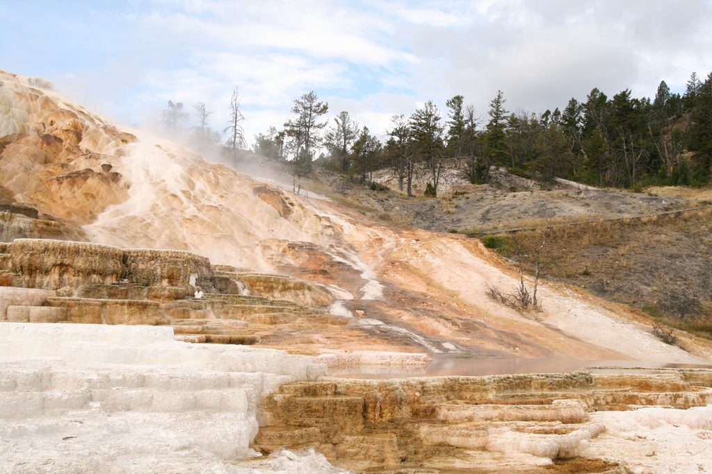 Minerva Terrace, Yellowstone National Park