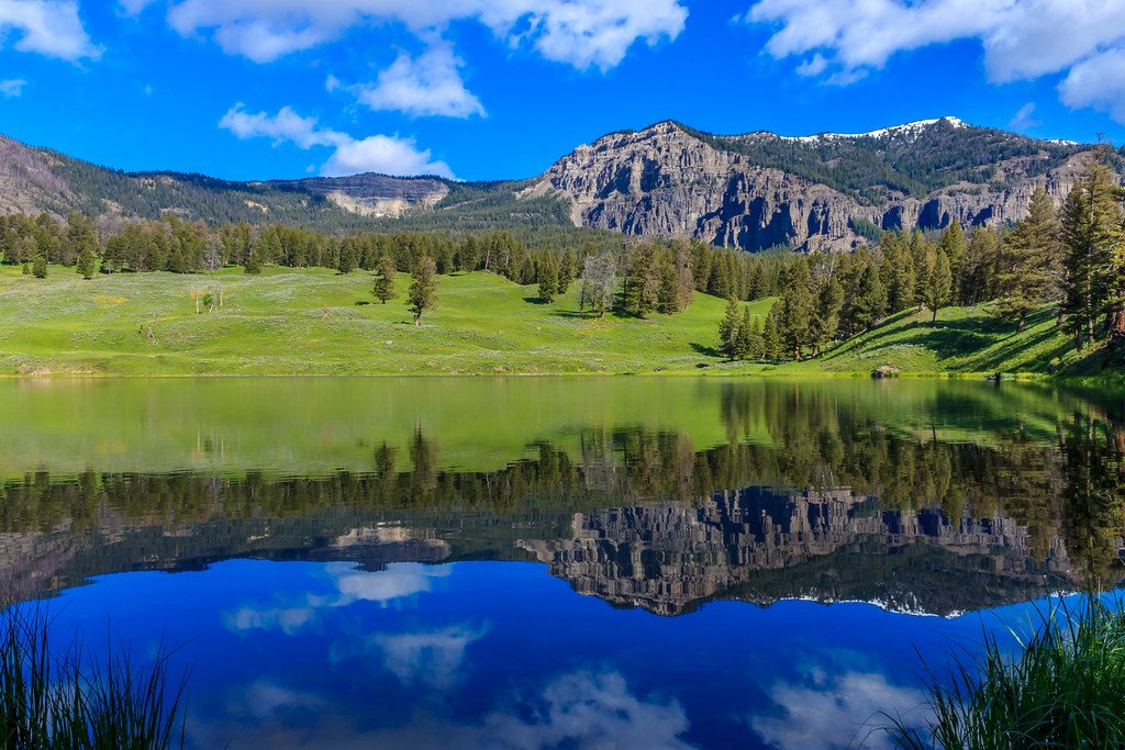 Trout Lake, Yellowstone National Park