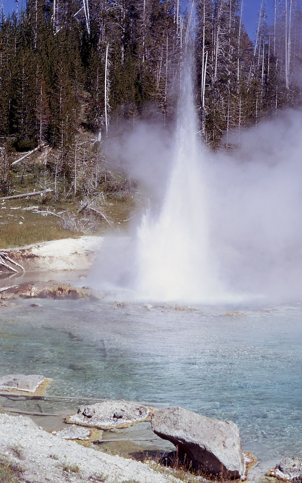 Imperial Geyser, Yellowstone National Park