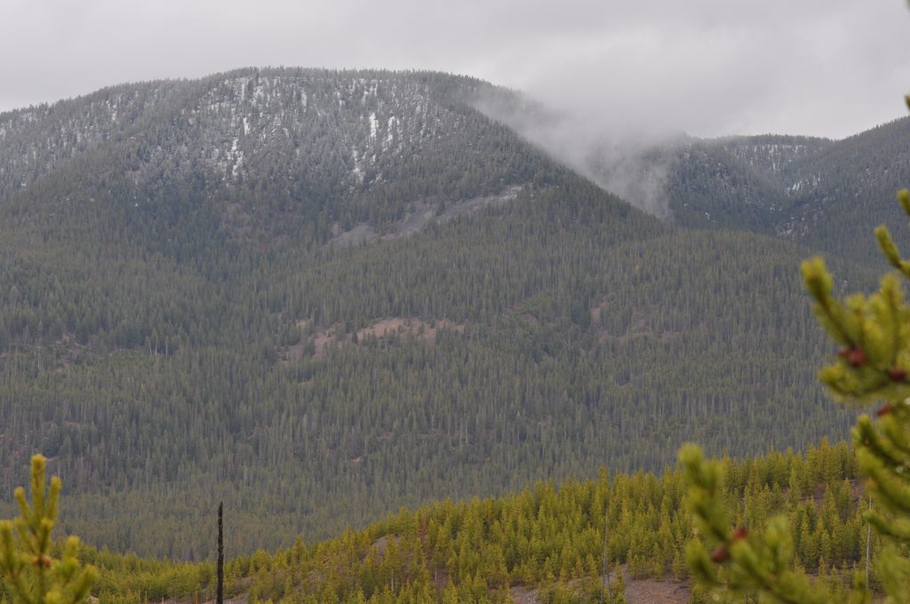 Purple Mountain, Yellowstone National Park