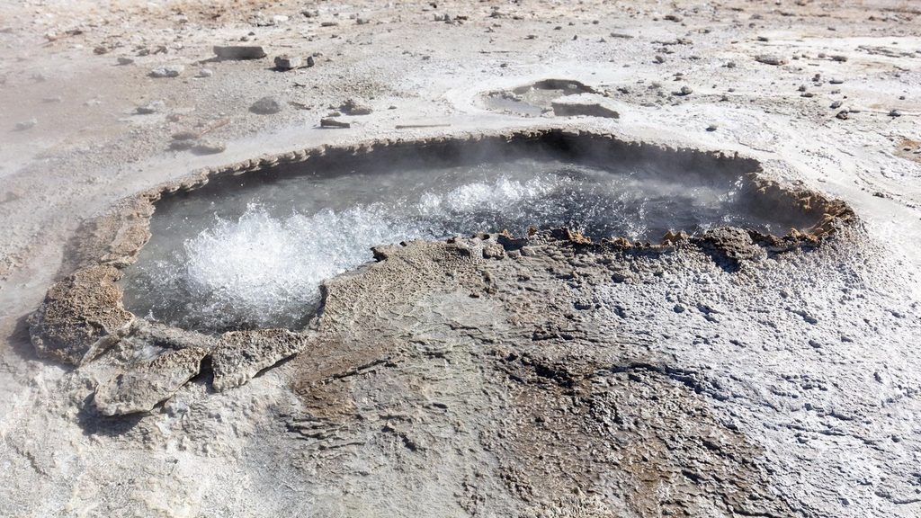 Ear Spring, Yellowstone National Park