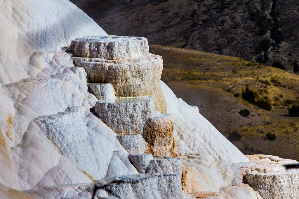 Angel Terrace, Yellowstone National Park