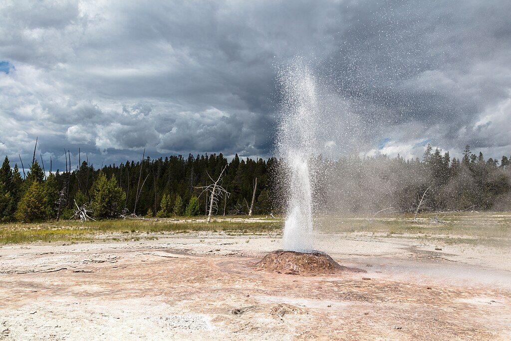 Pink Cone Geyser, Yellowstone National Park